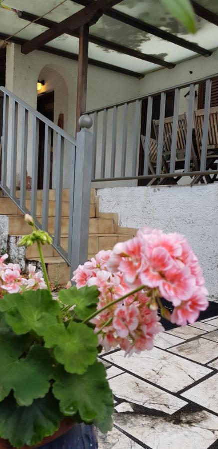 Vila Country House By The Sea !!! Karavómilos Exteriér fotografie